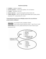 Respiratory physiology_eng.pdf